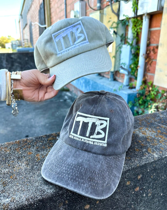 TTB Soft Style Hat
