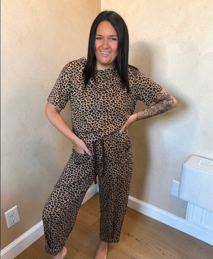 Brown Safari Pant Set