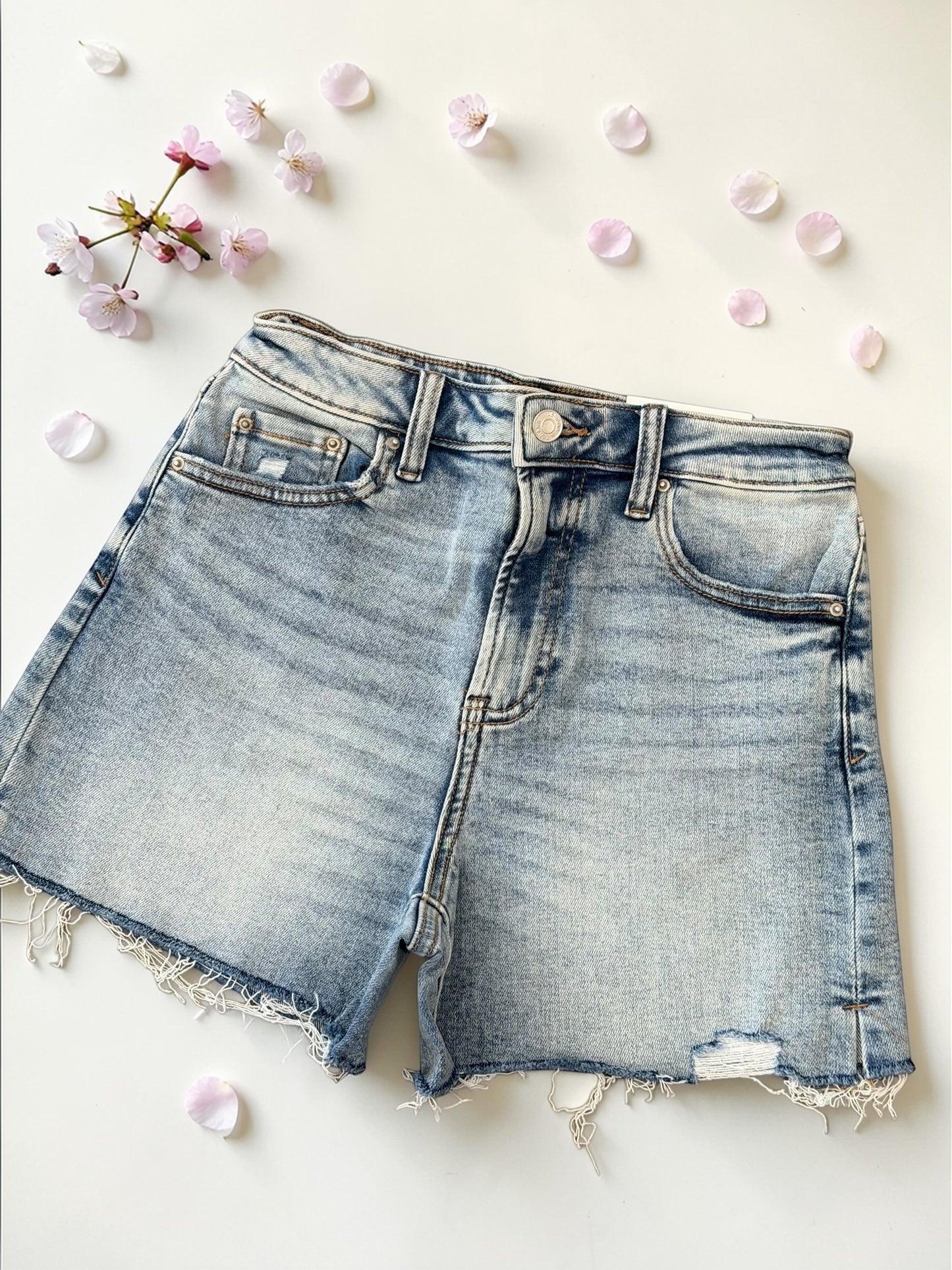 Stephanie Distressed Hem Denim Shorts