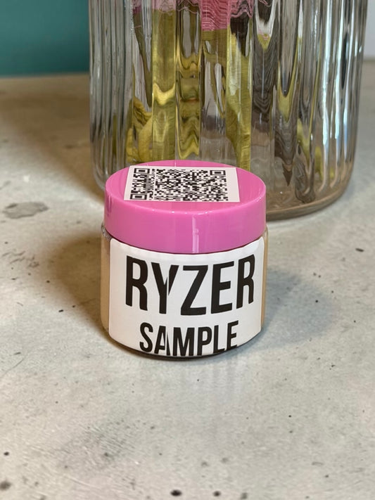 RYZER Sample